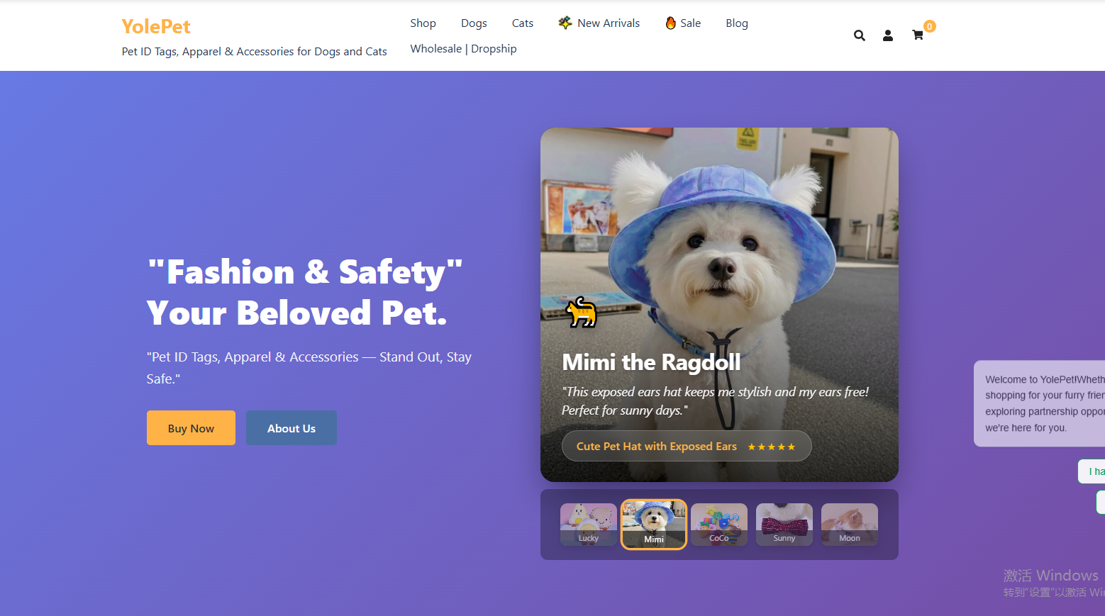 WooCommerce speed optimization case study by RainyDe